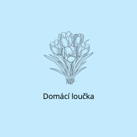 Domácí loučka