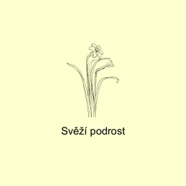 Svěží podrost