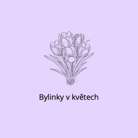 Bylinky v květech