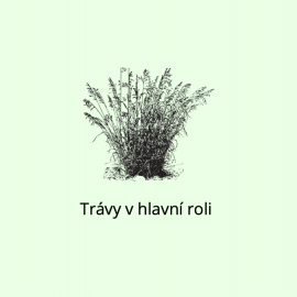 Trávy v hlavní roli