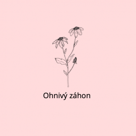 Ohnivý záhon