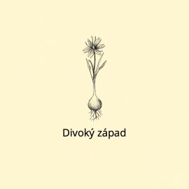 Divoký západ