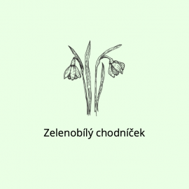 Zelenobílý chodníček